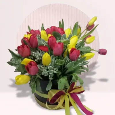 Red Yellow Tulip