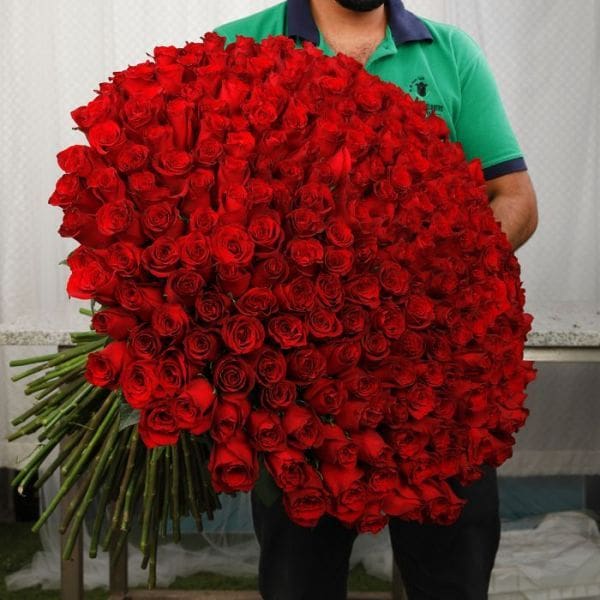 250_red_rose_bouquet_1_