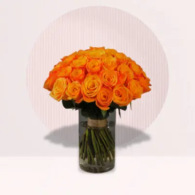 Orange Rose