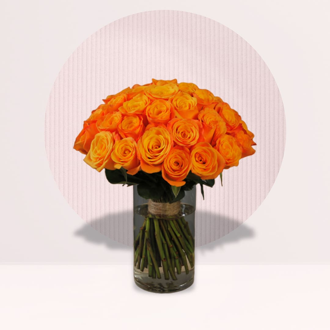 Orange Rose Vase Orange Rose
