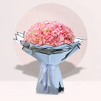 Pink Colour Flowers
