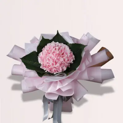 Pink Hydrangeas