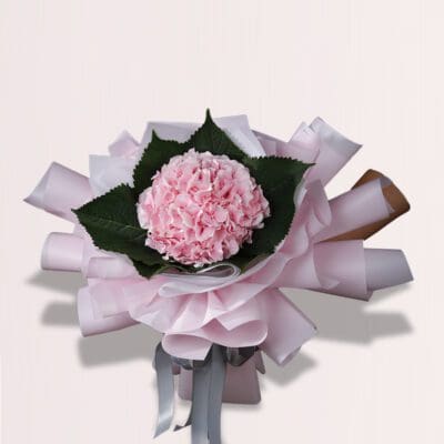 Pink Hydrangeas