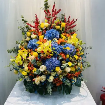 Colourfull Flowers