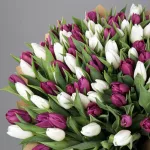assorted_tulip_bouquet_3_-jpg-150x150