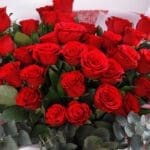 bunch-of-36-roses-2026_04