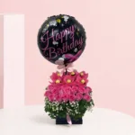 dreamy-pink-rose_2026
