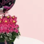 dreamy-pink-rose_2026_03