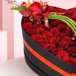romantic-lady-2026_02