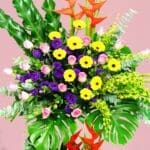 success-always-25-02