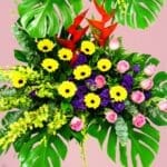 success-always-25-03