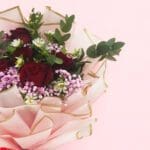 crimson-blush-2026_03