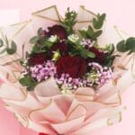 crimson-blush-2026_04