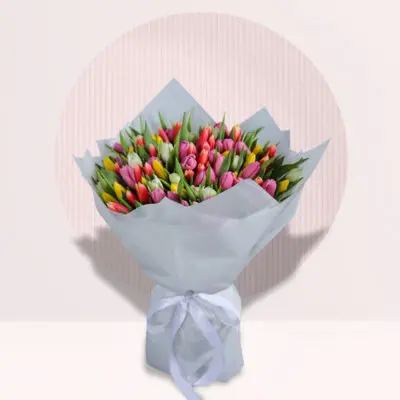 Radiant Tulips