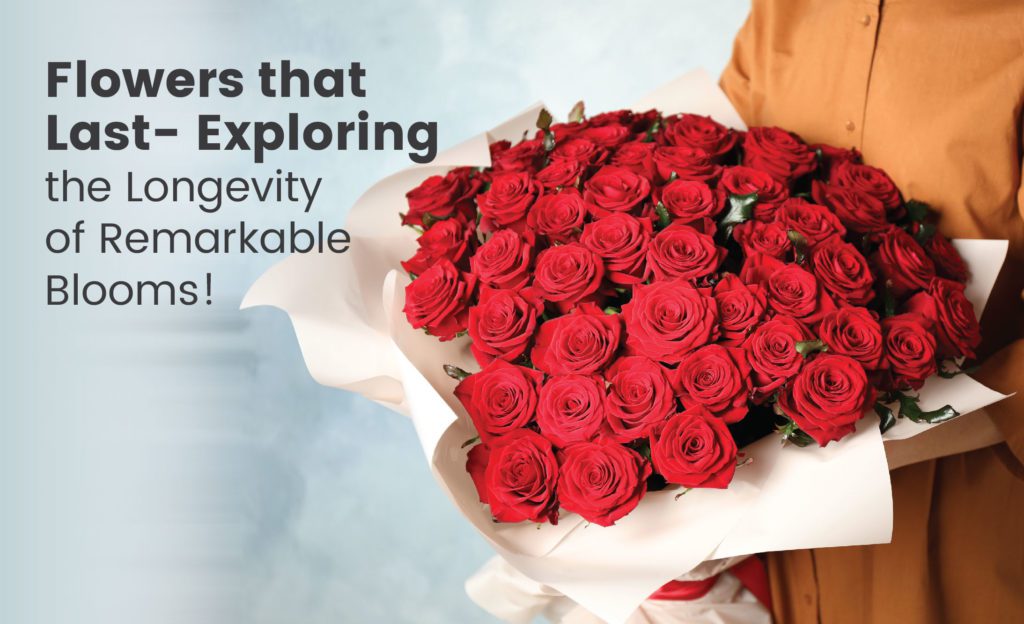blog- Flowers That Last
