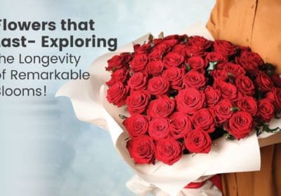 blog- Flowers That Last