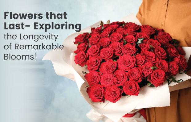 blog- Flowers That Last