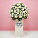 Graceful Sympathy