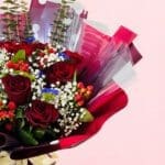 blaze-of-red-beauty-2026_03