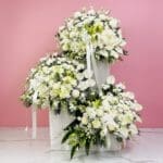 An arrangement of white flowers prominently displayed on a pastel pink background, highlighting their beauty and freshness.