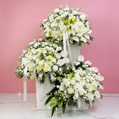 An arrangement of white flowers prominently displayed on a pastel pink background, highlighting their beauty and freshness.
