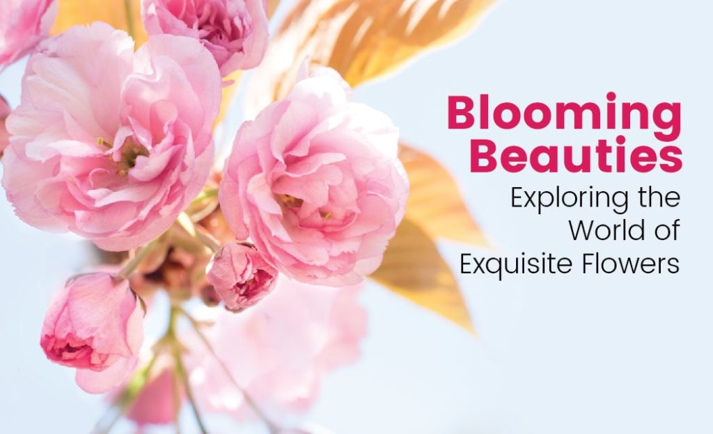 Exquisite Flowers blog