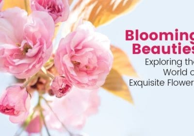 Exquisite Flowers blog