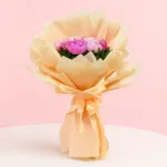 harvesting-peonies_2026
