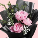 sleek-black-peony-delight_2026_04
