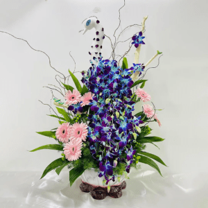 buy orchid arrangement online