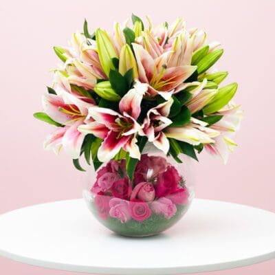 A vase filled with vibrant pink and white lilies, showcasing their delicate petals and lush greenery.