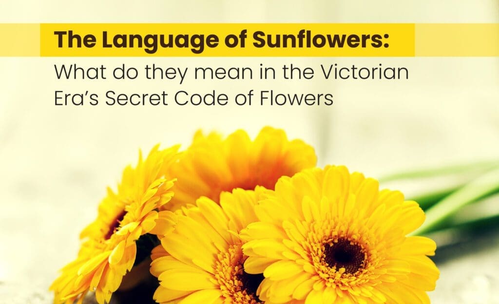 sunflower gifts ideas