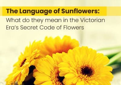 sunflower gifts ideas