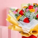 vivid-petal-spectrum-2026_02