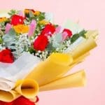 vivid-petal-spectrum-2026_03