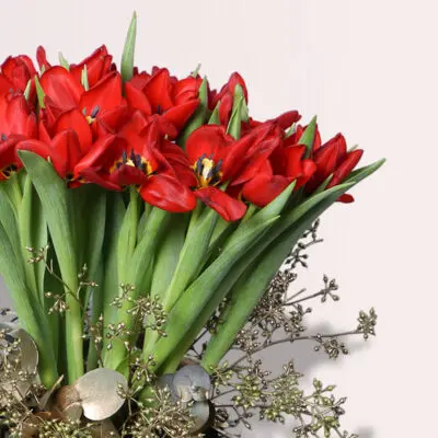 shop tulips flowers online