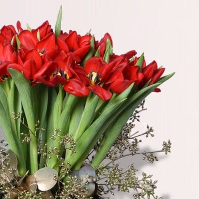shop tulips flowers online
