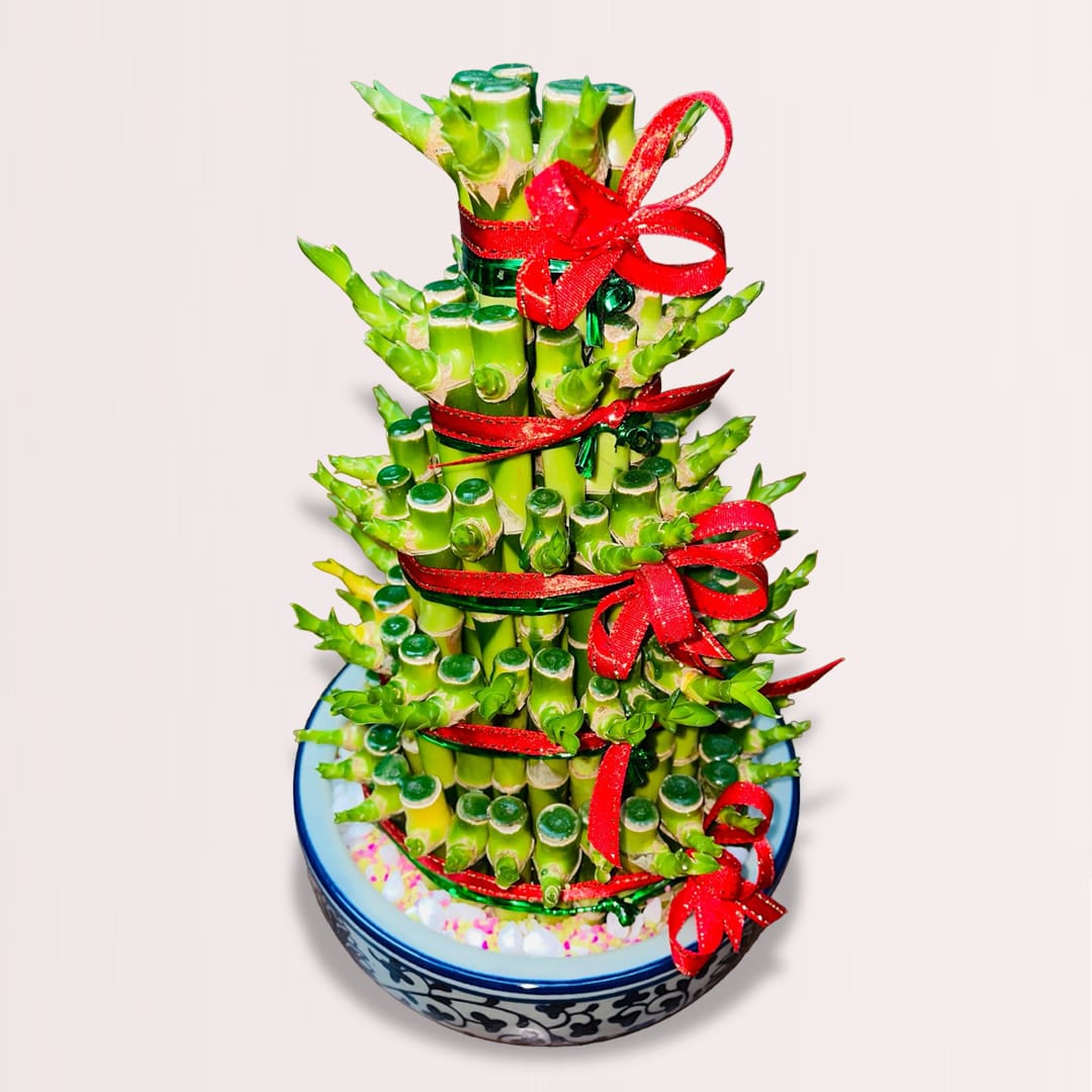 22 bamboo flowers vase delivery in kl