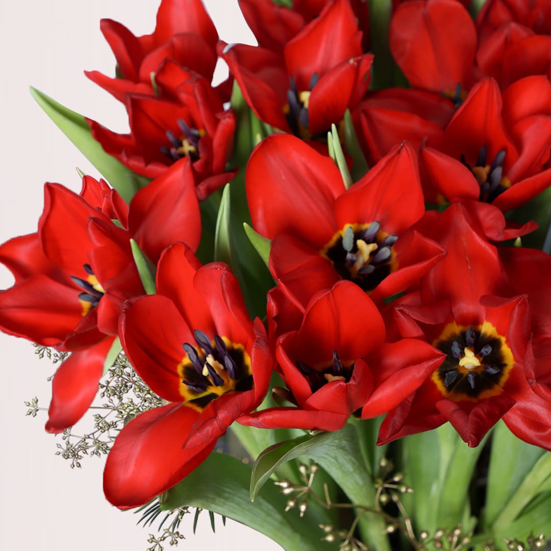 3 send tulips online