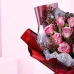 sweet-pink-rose-serenity-2026_02