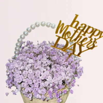 send baby breath basket in kl