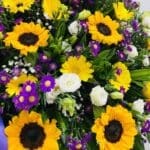 sunflower-serenade-stand-25-04