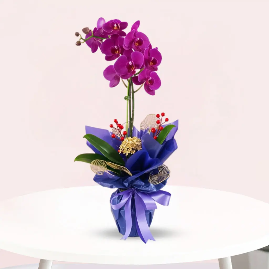 Royal Orchid Ensemble