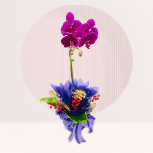 order orchids for 520 day