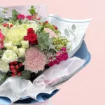romantic-rhapsody_2026_03