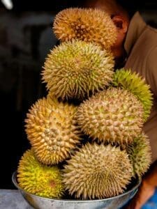 It is native to Southeast Asia, particularly Malaysia, Indonesia, and Thailand.