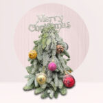 order mini christmas tree online