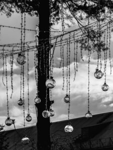 A black and white photo of a tree with Christmas lights hanging from it.