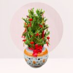 buy chinese new year bamboo plant online