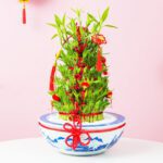 A small plant in a decorative bowl featuring red and white embellishments.